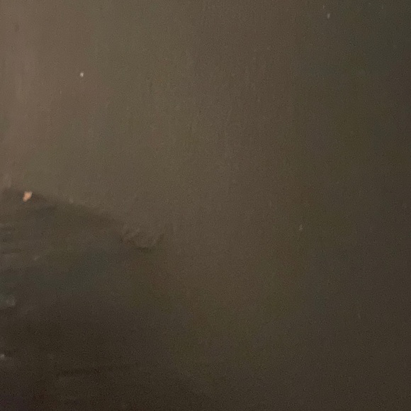 Southern Living At Home 12” X 12” Lemon Botanical Woodblock Art Print Wall Decor - Picture 12 of 15